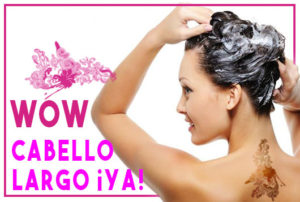 champú de cebolla o shampoo de cebolla y sus propiedades